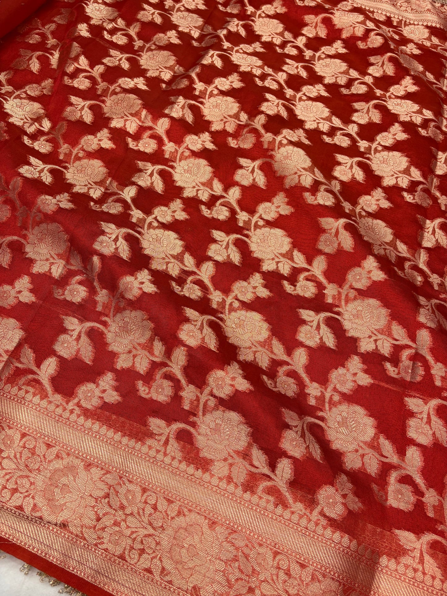 Banarasi Tissue Saree with Varmala Zardozi Handwork (T9)